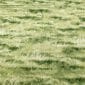 tela patchwork hierba verde pradera